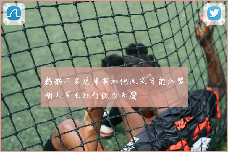 鹈鹕不考虑库明加他未来可能加盟湖人国王独行侠或老鹰