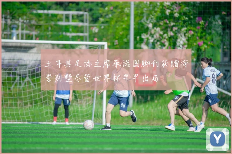 土耳其足协主席承诺国脚们获赠海景别墅尽管世界杯早早出局