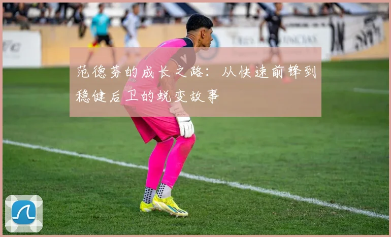 范德芬的成长之路：从快速前锋到稳健后卫的蜕变故事